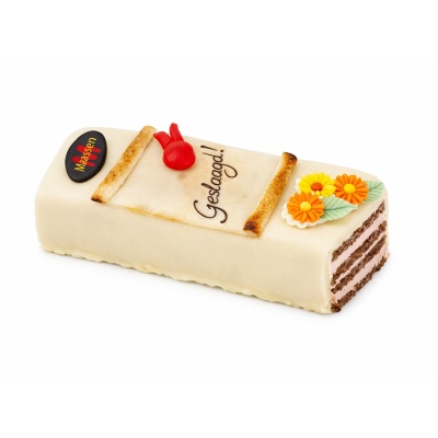 Geslaagd schnitte