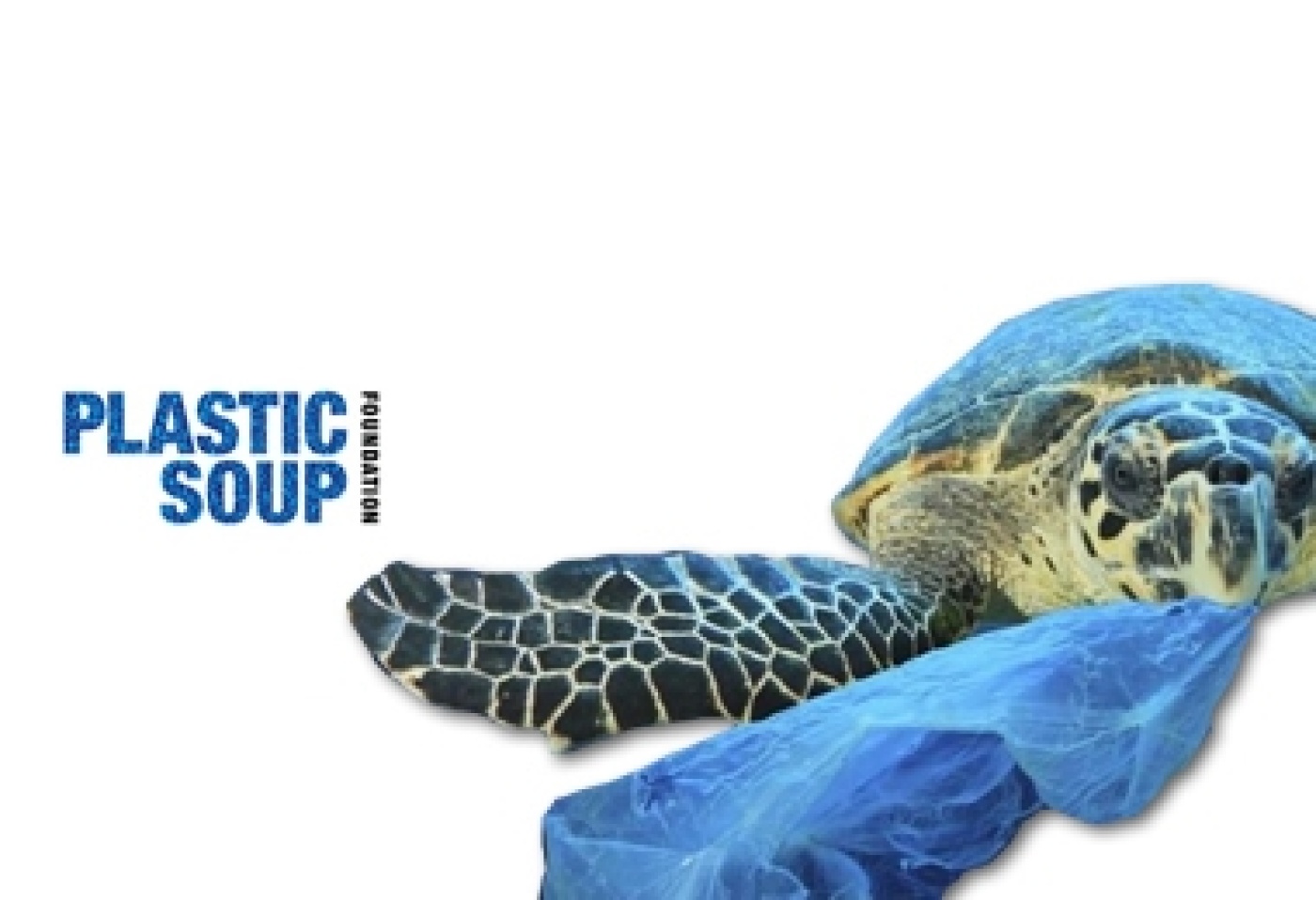 banner-PSF.jpg